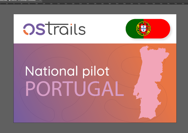 Portuguese National Pilot